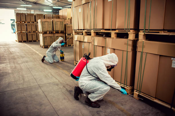Best Affordable Pest Control Services  in Hurricane, UT