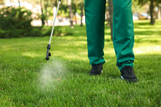 Best Residential Pest Control  in Hurricane, UT