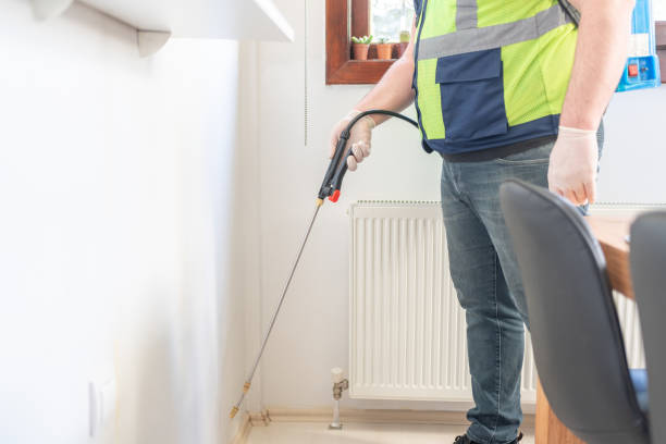 Best Best Pest Control Companies  in Hurricane, UT