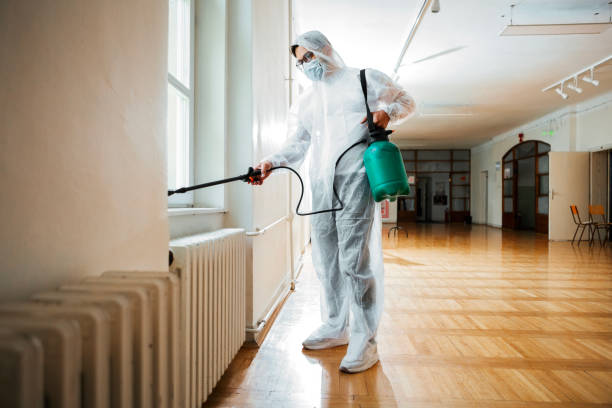 Best Best Pest Control Companies  in Hurricane, UT