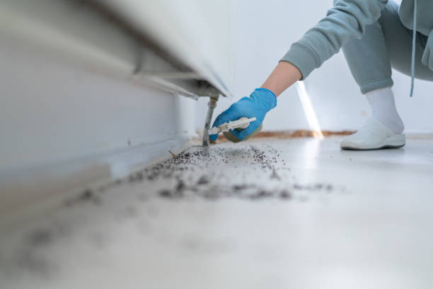 Best Exterminator Services  in Hurricane, UT