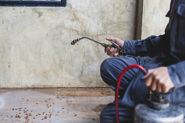 Best Mosquito Control Services  in Hurricane, UT